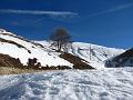 Slika_119