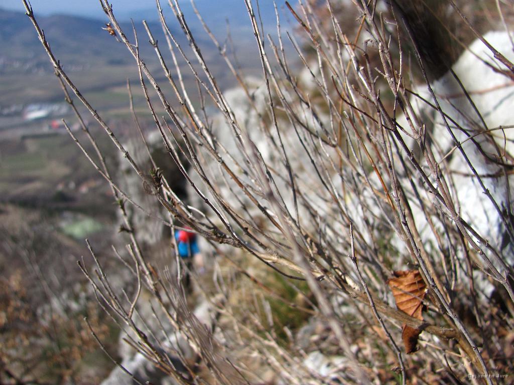Slika_60.JPG - Druga od treh.