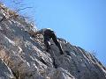 Slika_65