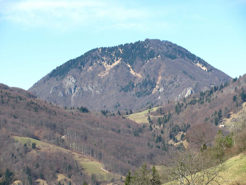 Slika_17.jpg - Še malce bliže.