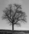 Slika_11