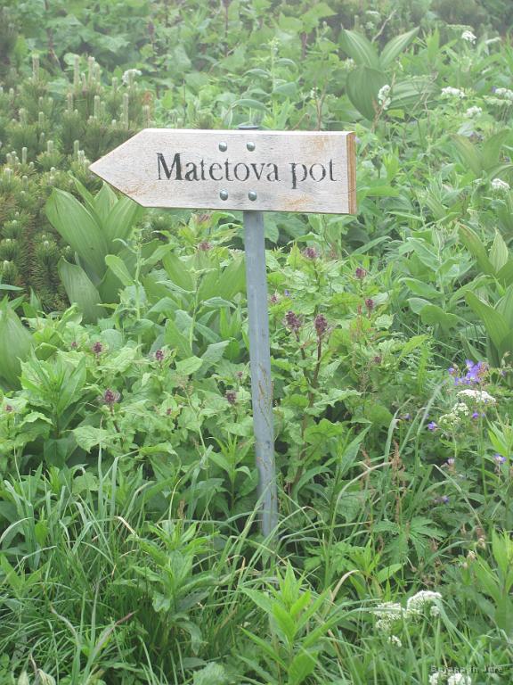 Slika_11.jpg - Matevž ima kar svojo pot :)