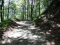 Slika_19