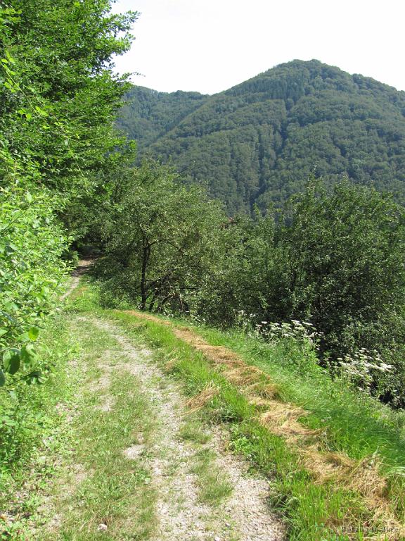 Slika_59.jpg - Utrinek.