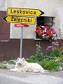 Slika_05