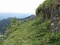 Slika_45