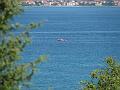 Slika_03