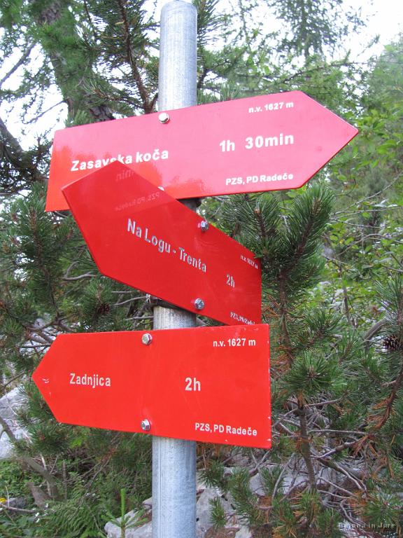 Slika_192.jpg - Greva zihr v smeri Zadnjice, vendar ali greva tudi na Zadnjiški Ozdebnik? Pa ja, itak...samo kje je pa pot?