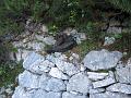 Slika_021