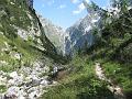 Slika_217