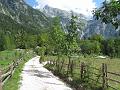 Slika_229