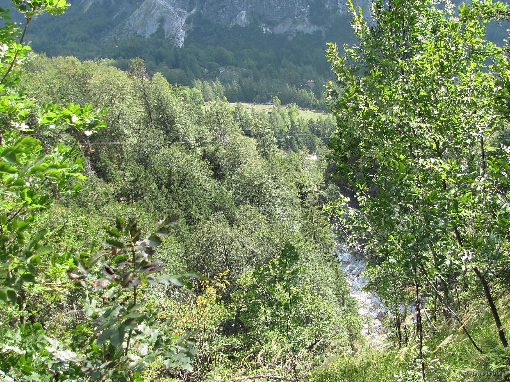 Slika_100.jpg - Travnik nakazuje, da nismo več daleč.