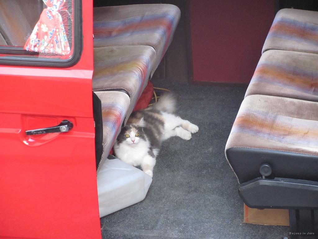 Slika_110.jpg - V Zatolminu pri boljši polovici od Robija, smo se ustavili na večerji. Mačka si je postlala kar v kombiju.