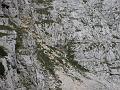 Slika_085