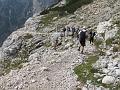 Slika_090