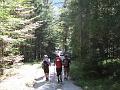 Slika_104