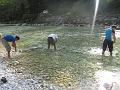Slika_109