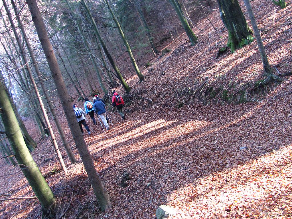 Slika_27.JPG - Utrinek.