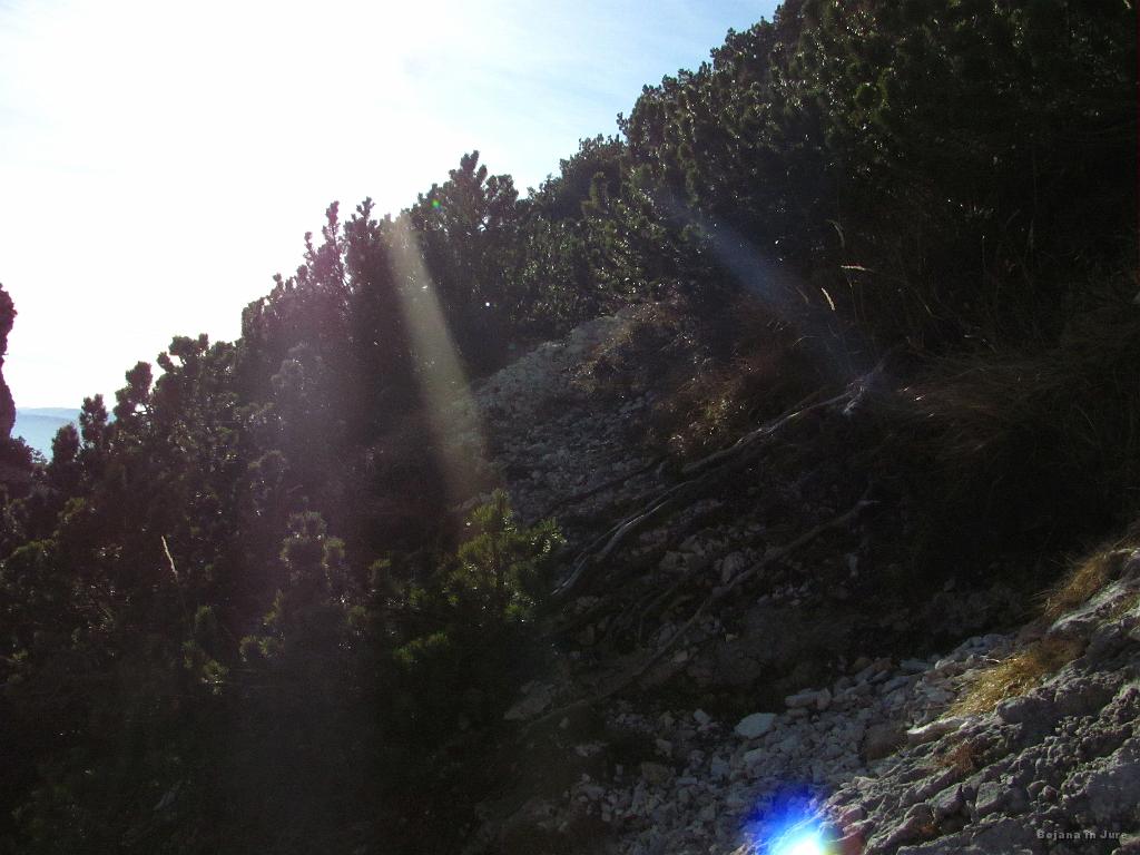 Slika_44.jpg - Še malce in bomo na travnatem pobočju.