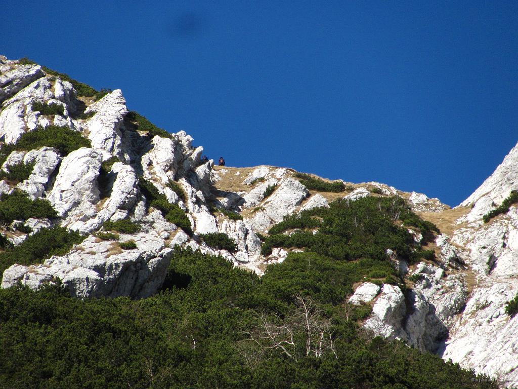 Slika_55.jpg - Zaslišimo vriskanje in ugledamo dva planinca na vrhu sedla.