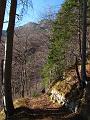 Slika_64