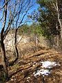 Slika_04