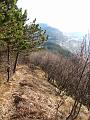 Slika_07