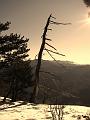 Slika_12