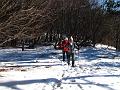 Slika_14