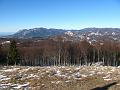 Slika_17