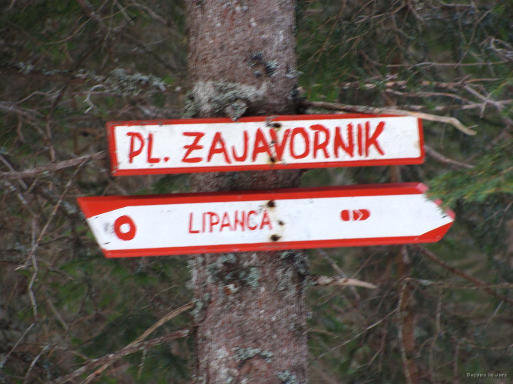 Slika_06.jpg - Izgubiti se ne moreš.