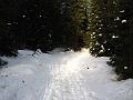 Slika_11
