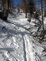 Slika_21