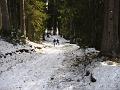 Slika_40