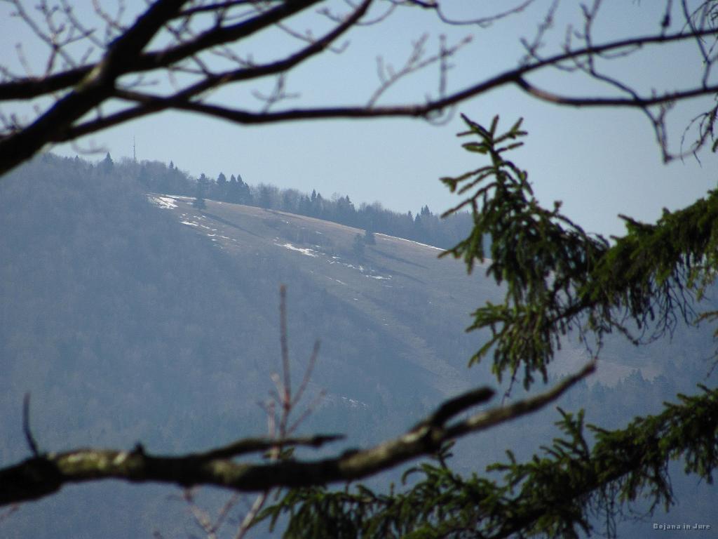 Slika_11.jpg - Na bivšem smučišču Ulovka je še nekaj zaplat snega. To je 10x povečana slika.
