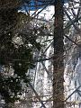 Slika_09