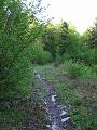 Slika_45