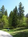 Slika_05