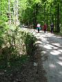Slika_09