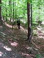 Slika_10