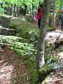 Slika_14
