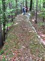 Slika_15
