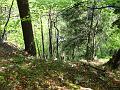Slika_18