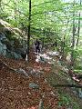 Slika_20