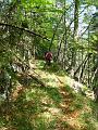 Slika_22