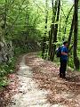 Slika_33