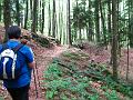 Slika_34