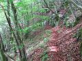 Slika_36