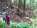 Slika_37