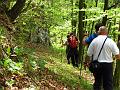 Slika_38